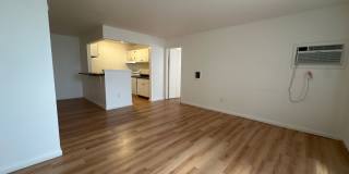 University Park Gallery 291