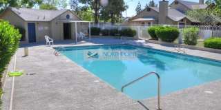 2 BR/2.5BA| Newly Renovated Single Family Home |  Community Pool! Gallery 14