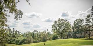 Welcome to 8 Ochavo Way, a stunning 3-bedroom, 2-bathroom home Gallery 26