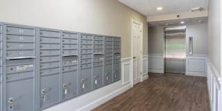 Adams Village Gallery 3