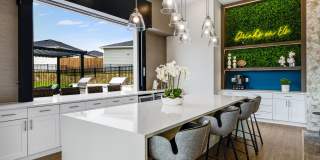 Yardly Elm Gallery 24