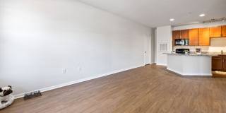 The Hawthorne Gallery 7