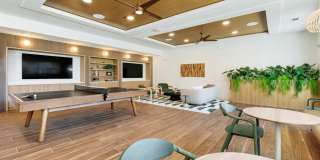 The Amber Gallery 26