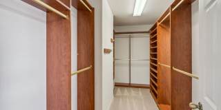 New Rental! Gallery 20