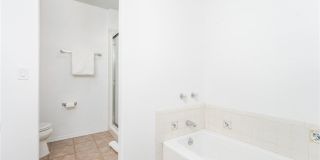 48330 Mamie Way Gallery 29