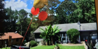 183 Cave Springs Court Gallery 1