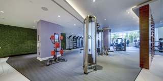 Alluvion Las Olas Alluvion Las Olas Gallery 26