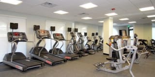 Piazza D' Oro Gallery 8