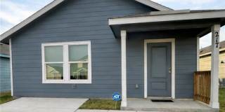 217 Alligator Gallery 1