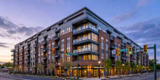 Ellison Museum District Gallery 41