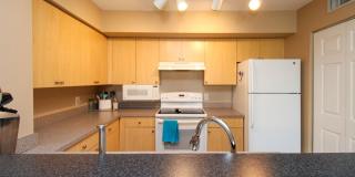 The Sanctuary at Imperial River | Elegant 2BR/2BA Condo | Seasonal Rental Opportunity Gallery 7