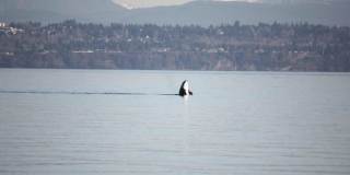 27571 Sandy Shores Dr Sw Gallery 16