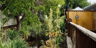 A Garden City Gem Near Parks, Dining & the Greenbelt A Garden City Gem Near Parks, Dining & the Greenbelt Gallery 32