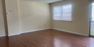 206 Stonegate Circle Gallery 4