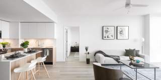 Cascade Link at Douglas Gallery 7