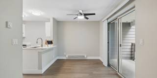 Avana Chestnut Hill Gallery 23