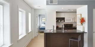 Ambassador Gallery 2