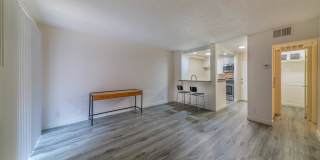 339 S. Ardmore Gallery 14