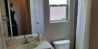 Fully Furnished!! Snowbird and builder Special! Flexible lease options available. Gallery 13