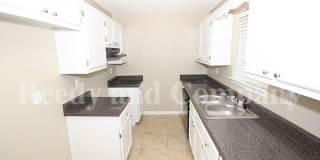 9532 Chi Chi Cv Gallery 7