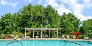 Albany Glen Gallery 26