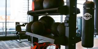 The Mitchell Gallery 21