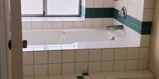 *DO NOT DISTURB TENANTS- 4 bedroom 2 bath home w/POOL!! Gallery 31