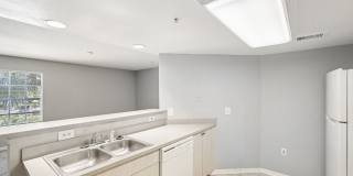 Coral Cove Gallery 15