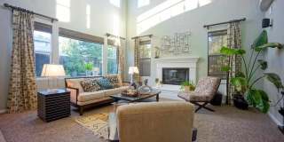 3200 Spicewood Ln Gallery 4