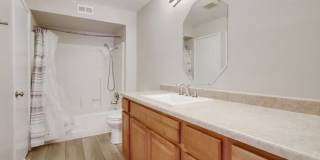 9813 Caspi Gardens Drive Gallery 13
