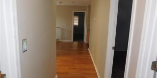 913 Ambrosia Drive Gallery 20