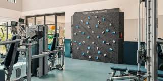 The Copeland The Copeland Gallery 23