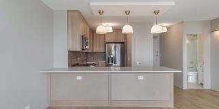 1550 N Lake Shore Drive Gallery 4