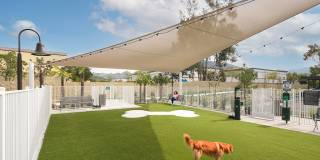 CALIXA Apartment Homes Gallery 29