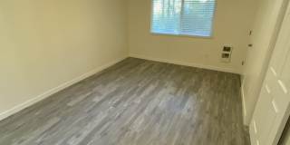 2016 Porta Court Northwest Gallery 10