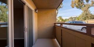 Volterra at La Mesa Gallery 1