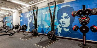 The Melrose Gallery 7