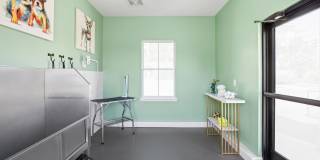 The Ascent Plainfield Gallery 35