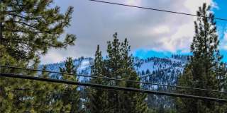 42830 Cougar Road Gallery 20