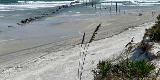 1620 Delphi Way Gallery 42