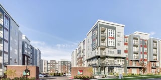 Axis on Lexington Gallery 2