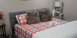 249 Ontario Street Gallery 1