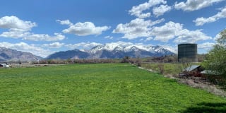 Claradon Village Gallery 37