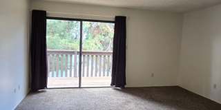 4147 Pinewood Lake - House with Office Gallery 22
