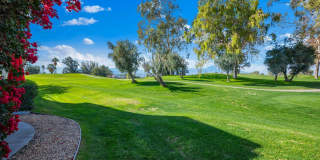 207 Desert Falls Circle Gallery 1