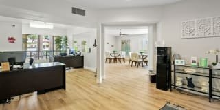 Domain 3201 Gallery 5
