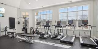 Greystone at Widewaters Gallery 31