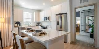 J. Ardin at Apopka Gallery 1