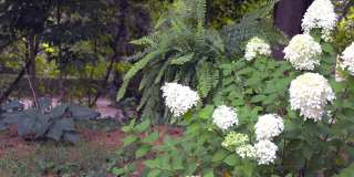 55 Edgemont Road Gallery 52
