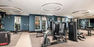 Palacio Apartments Gallery 6